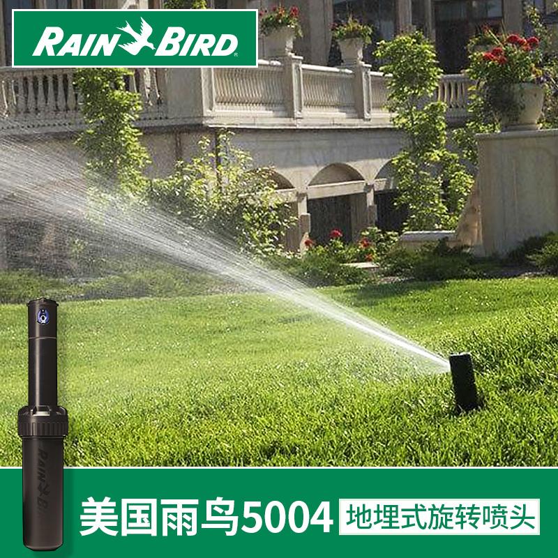 ����5004��ͷ